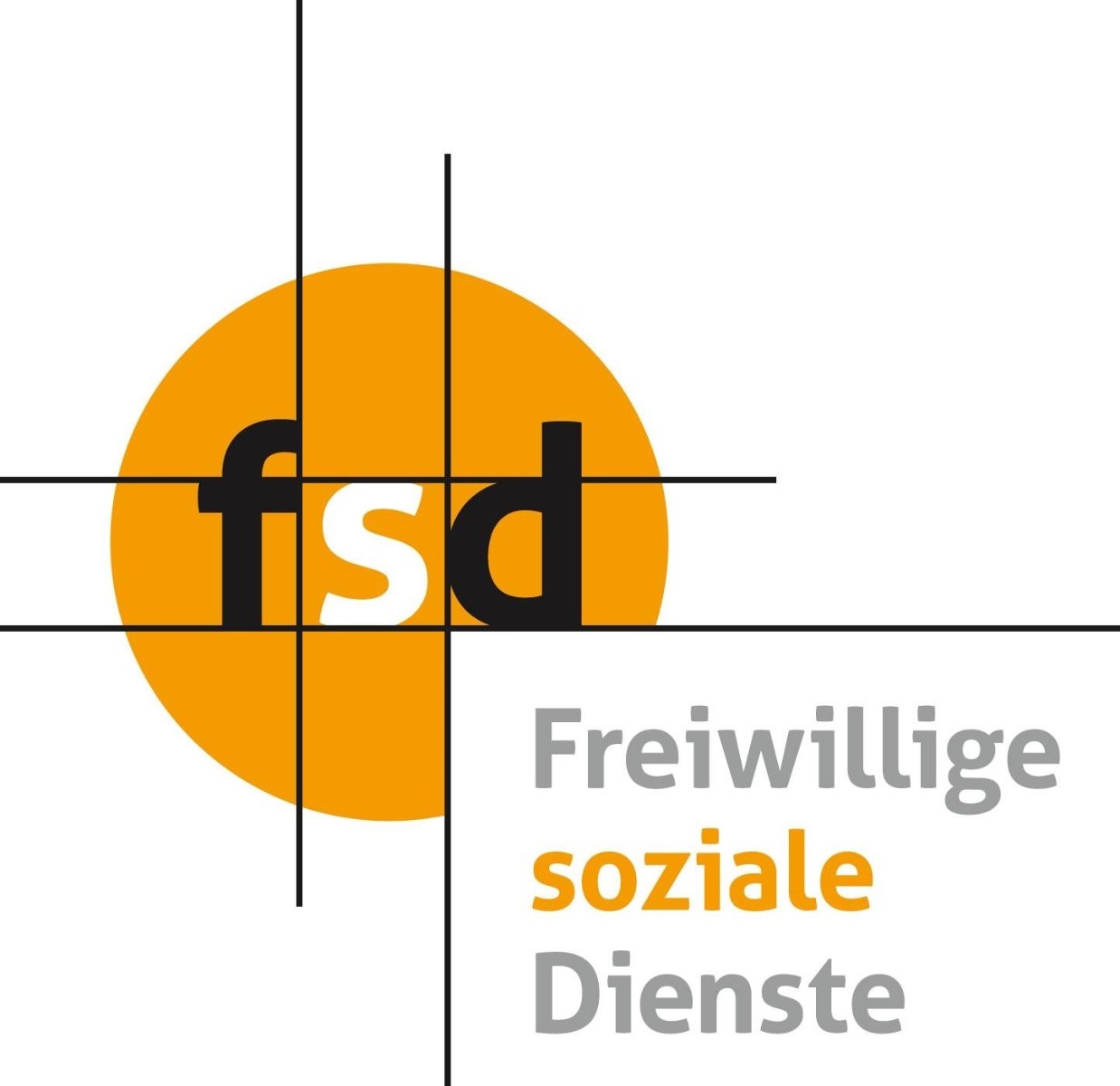 2023-07-31 FSD Logo groß