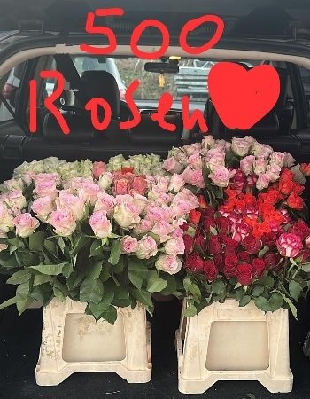 Valentinstag Roseneinkauf Laurentiusplatz